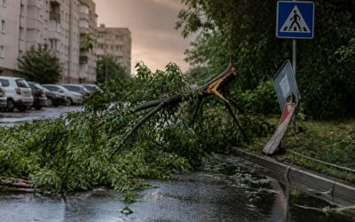 ANM a emis o avertizare Cod portocaliu de furtuni cu rafale de vânt de până la 80 km/h