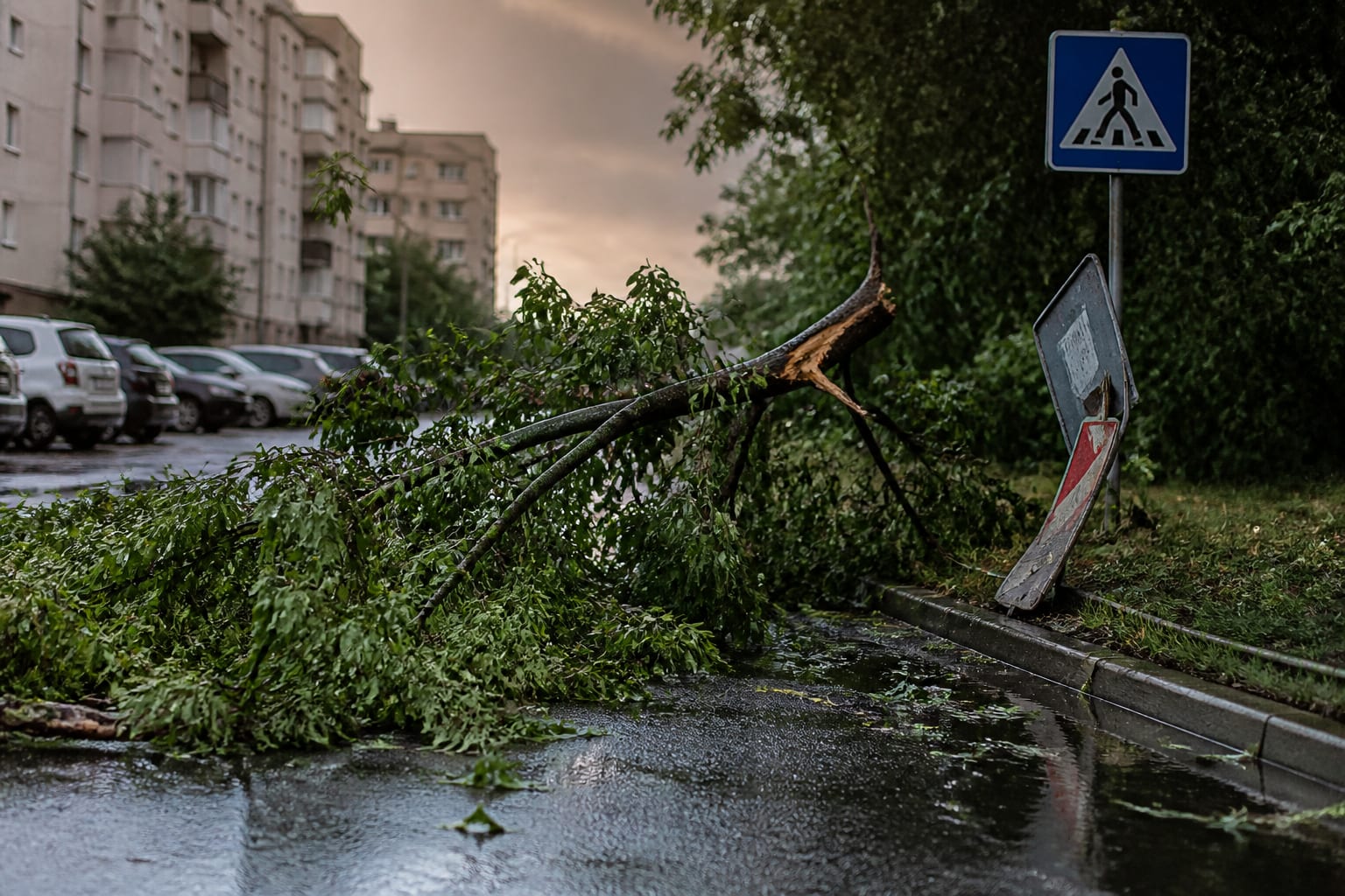 ANM a emis o avertizare Cod portocaliu de furtuni cu rafale de vânt de până la 80 km/h