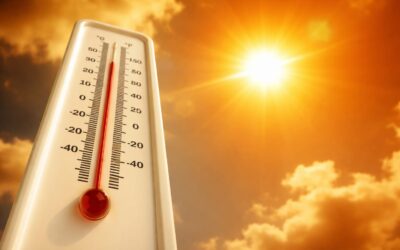 Val de căldură extremă în România. S-au înregistrat 41 de grade la umbră în Bihor, iar meteorologii au emis cod roșu