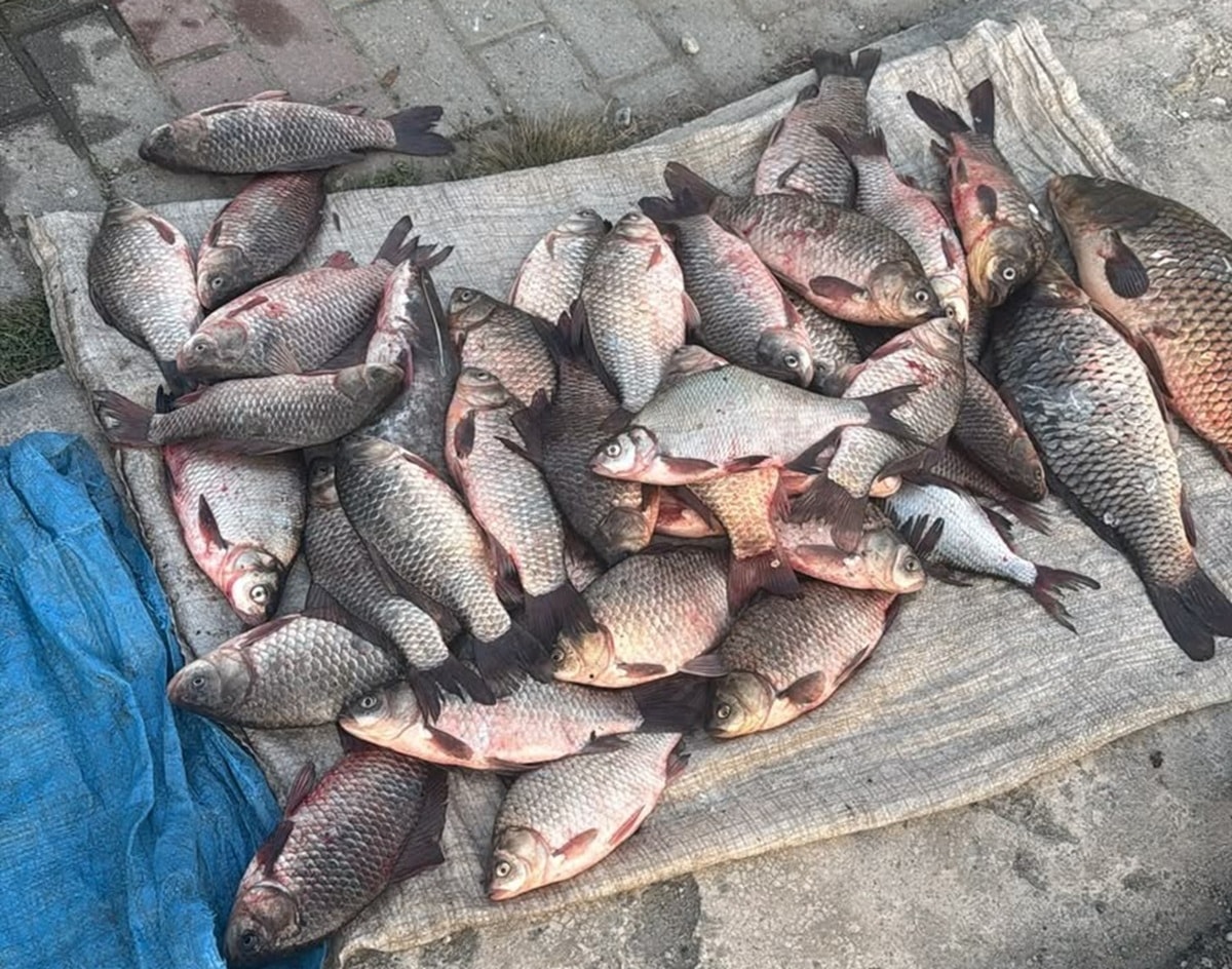 Peste confiscat de la braconieri