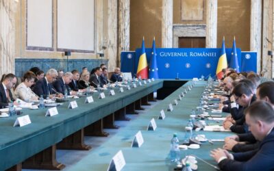 PNL ar primi nouă ministere în Guvernul Cîțu, iar Raluca Turcan este indicată pentru Educație