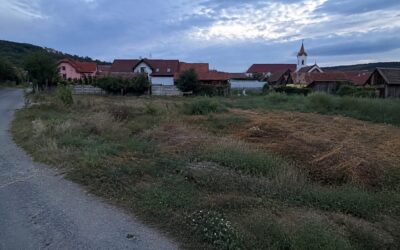 Un localnic reclamă deșeuri lângă casele din Alămor. Primăria anunță când va curăța terenul