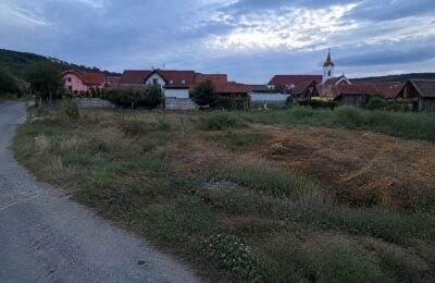 Un localnic reclamă deșeuri lângă casele din Alămor. Primăria anunță când va curăța terenul