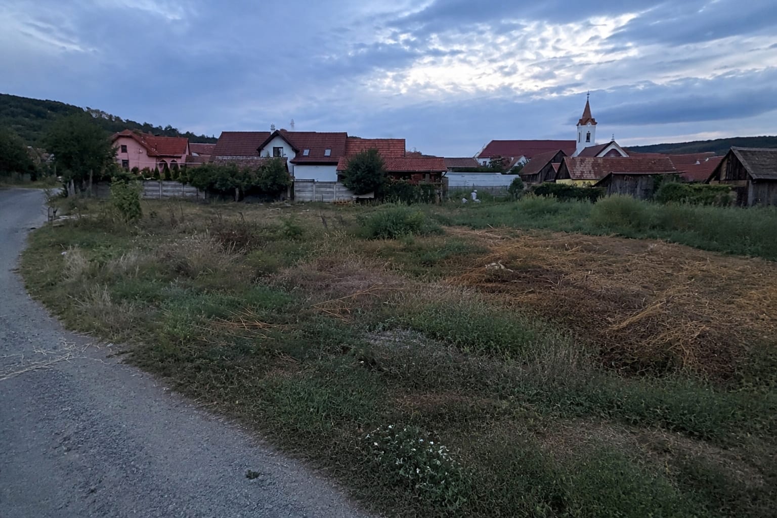 Teren viran năpădit de vegetație