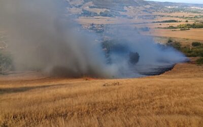 Patru pompieri și o autospecială au intervenit la incendiul de vegetație din Copșa Mică