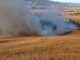 Patru pompieri și o autospecială au intervenit la incendiul de vegetație din Copșa Mică