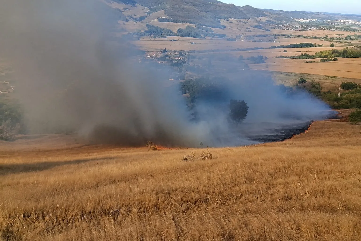 Incendiu de vegetatie Mica