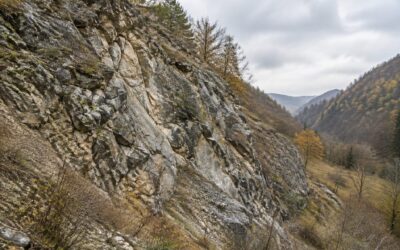 Trei organizații cer retragerea licenței miniere pentru Valea Dobra și anunță proces dacă autoritatea refuză