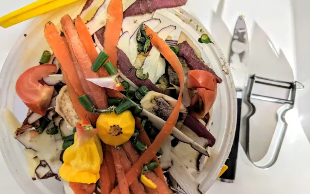 Resturi vegetale pentru pubela maro