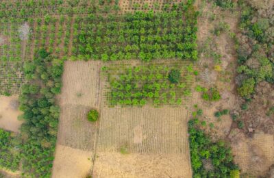 Șelimbăr a înregistrat o vânzare de teren agricol la 1.109,88 lei/m²